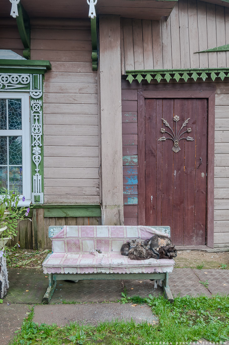 Меховицы, дом фабриканта Карпова, Чистые Росы, продается усадьба