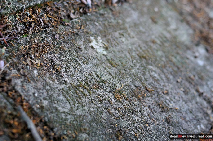 усадьба Городна