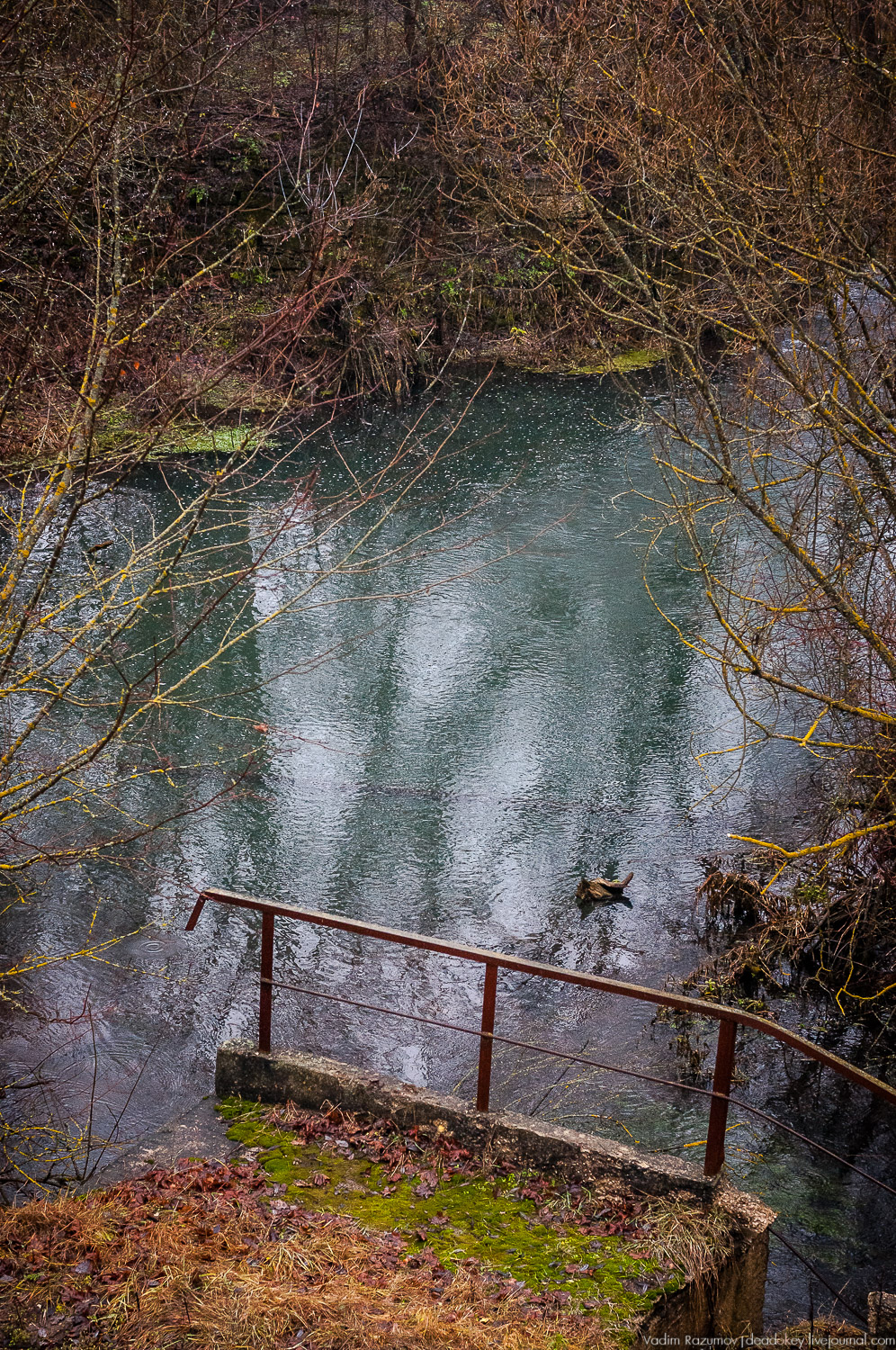 усадьба Пальна-Михайловка, аудиогид по усадбе, фото Вадим Разумов