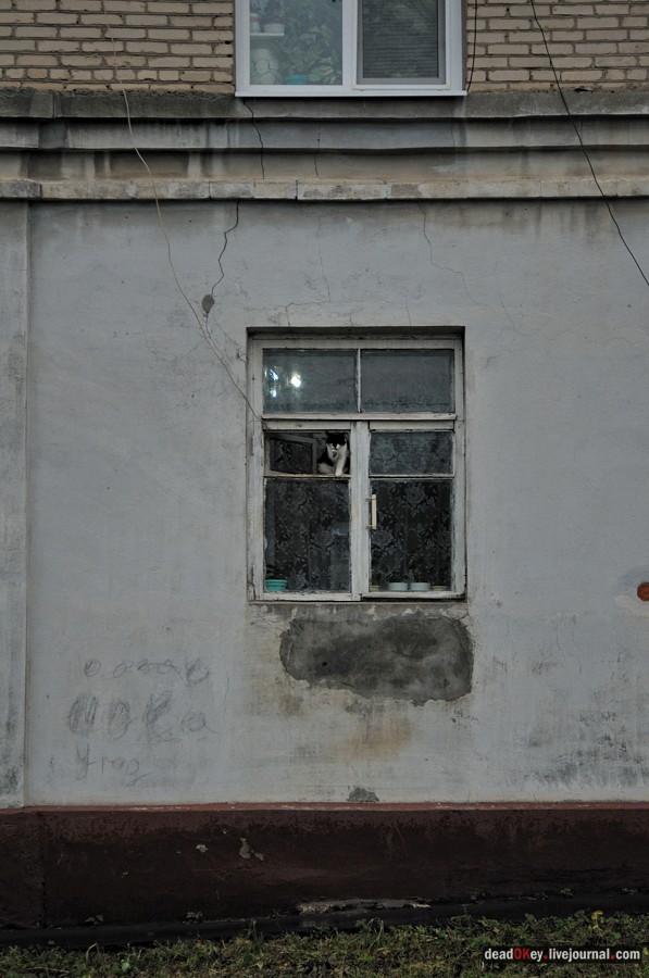 усадьба Богородской (пос. Володарского)