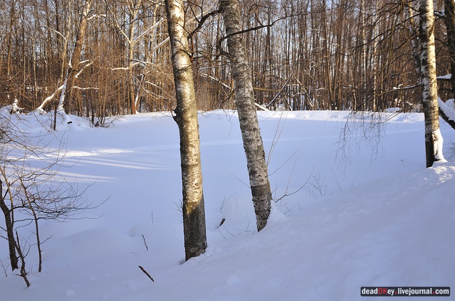 усадьба Зюзино