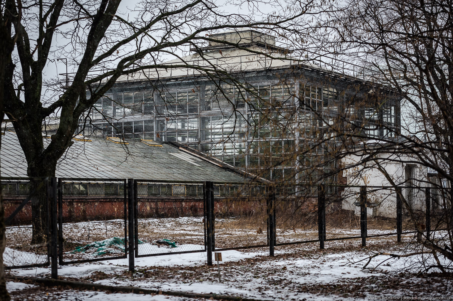 Ботанический сад, фондовая оранжерея, Экоэлектричка, борщевик