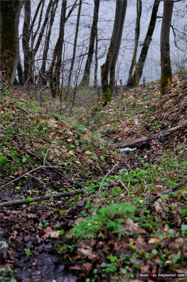 усадьба Полотняный Завод Гончаровых