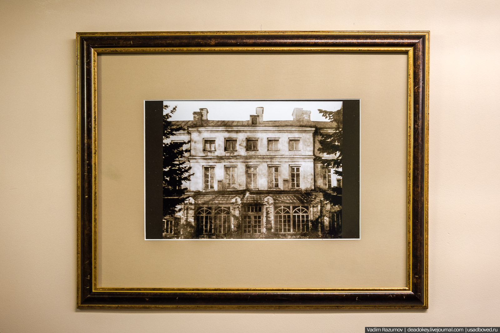 Богородицк. Открытие музея в башне-колокольне