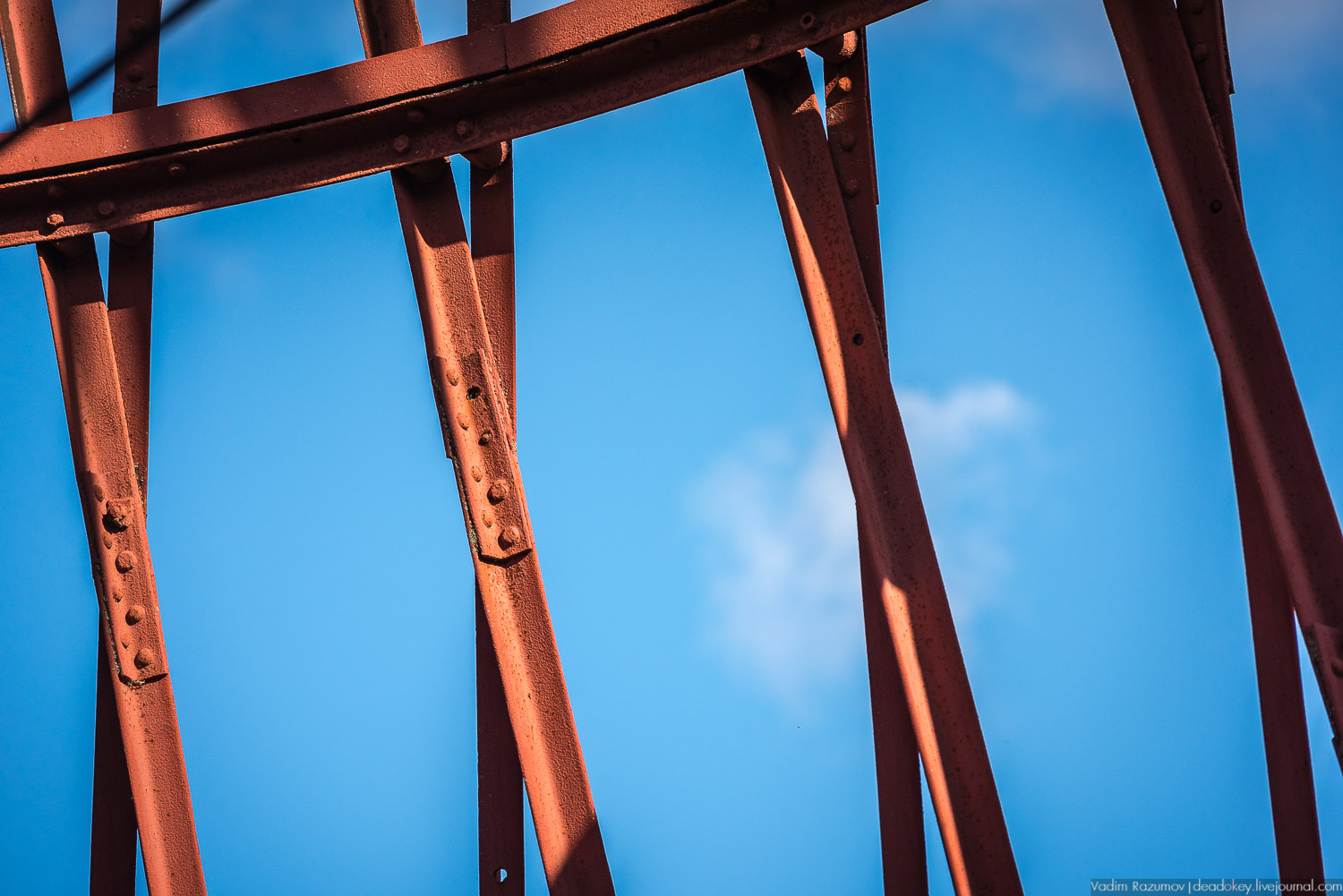 усадьба Полибино, Липецкая область, Усадебные волонтеры 21 сентября 2019 года