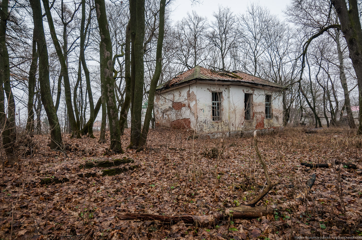 усадьба Троекурово, Липецкая область, Лебедянский район
