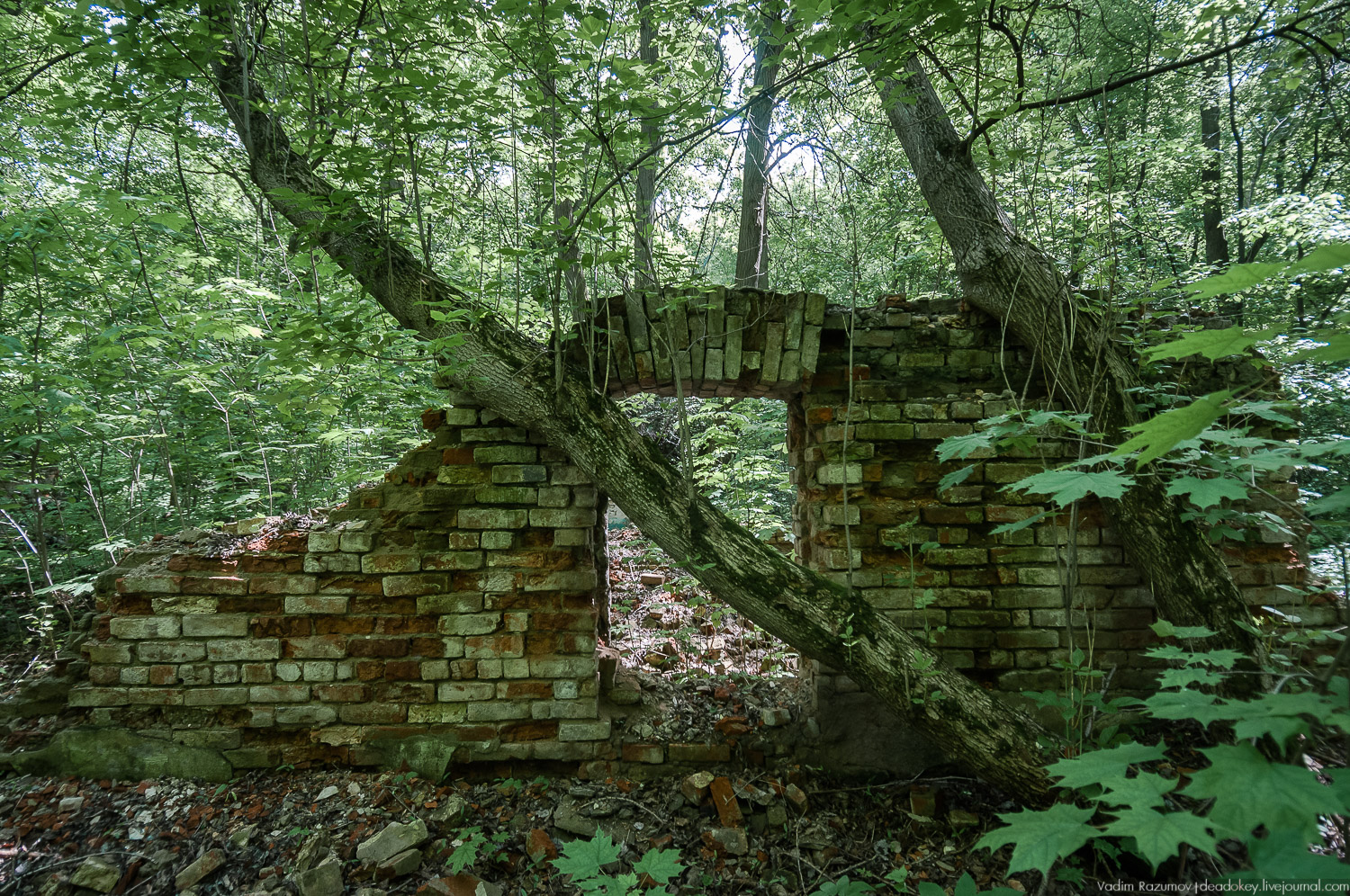 усадьба Хрусловка фон Мекк, Тульская область