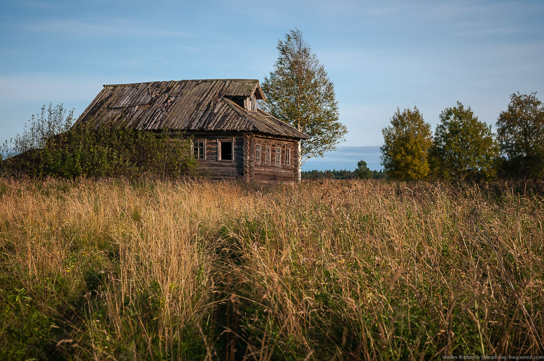 дер. Кучепалда, Архангельская обл.