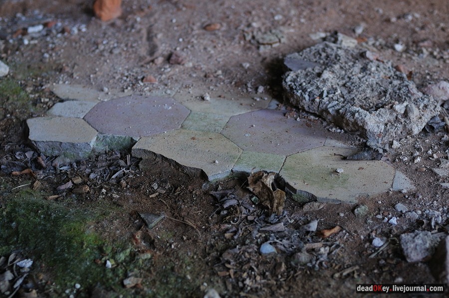 усадьба Клины