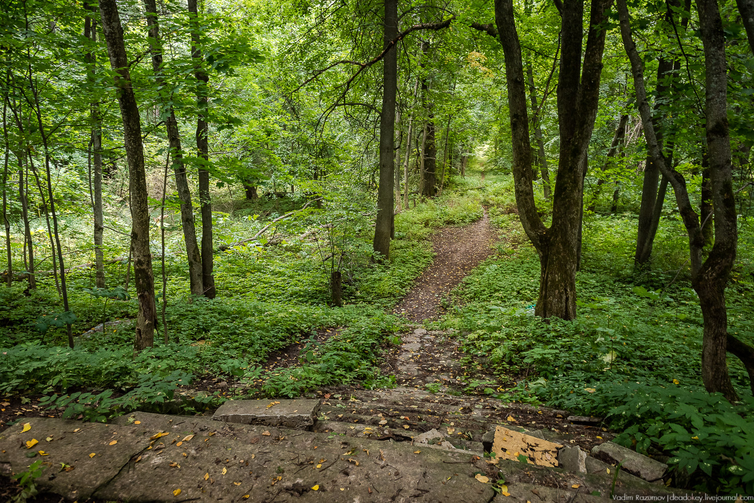 усадьба Никольское-Обольяниново, Усадебные волонтеры, субботник 17 августа 2019 года