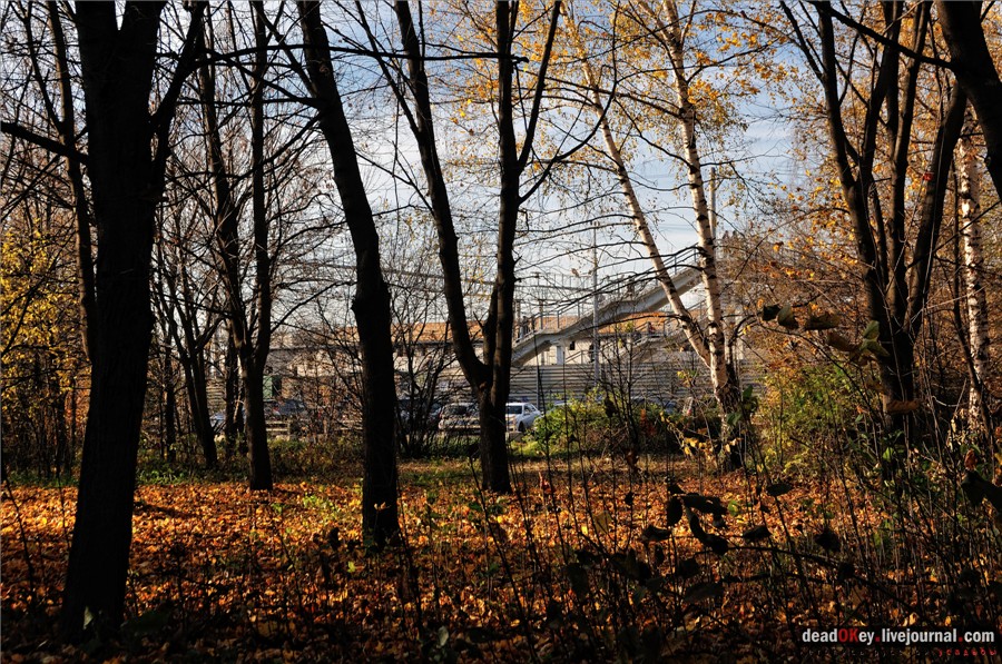 усадьба Кусково и Плющево