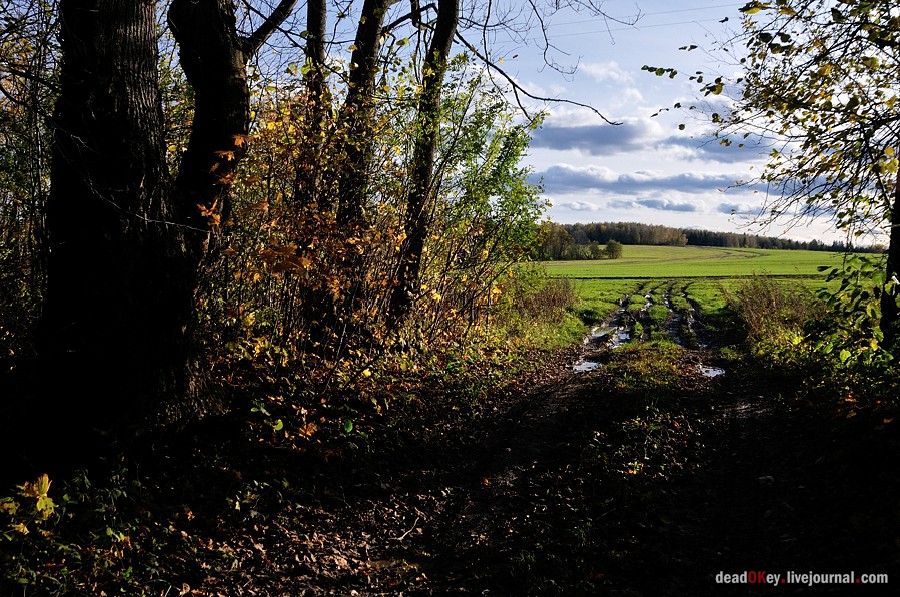 усадьба Дубровка (Мансурово)