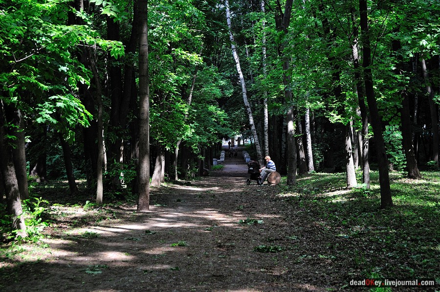 усадьба Братцево