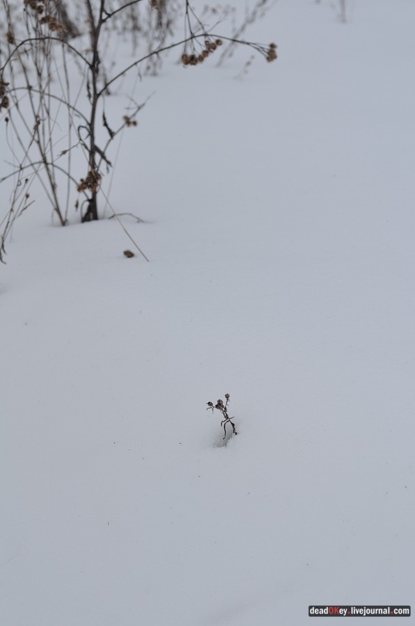 усадьба Милюково