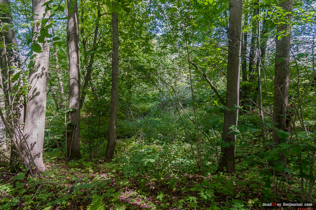 усадьба Васильевское Повалишиных