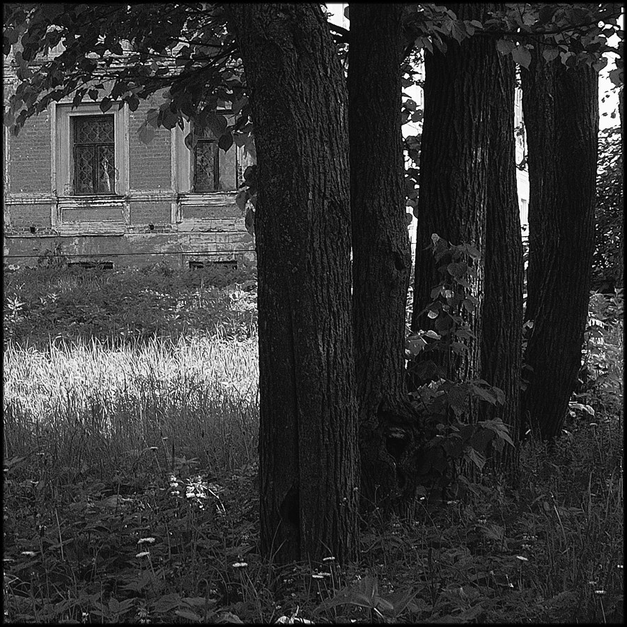 Парковые аллеи в русских усадьбах