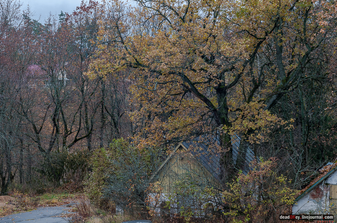 Усадьба Любвино