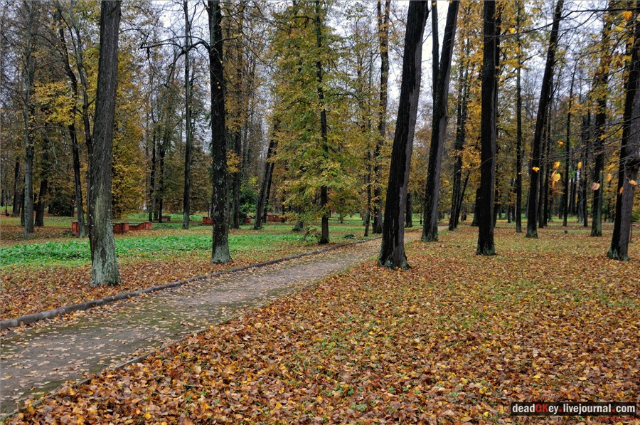 усадьба Марфино