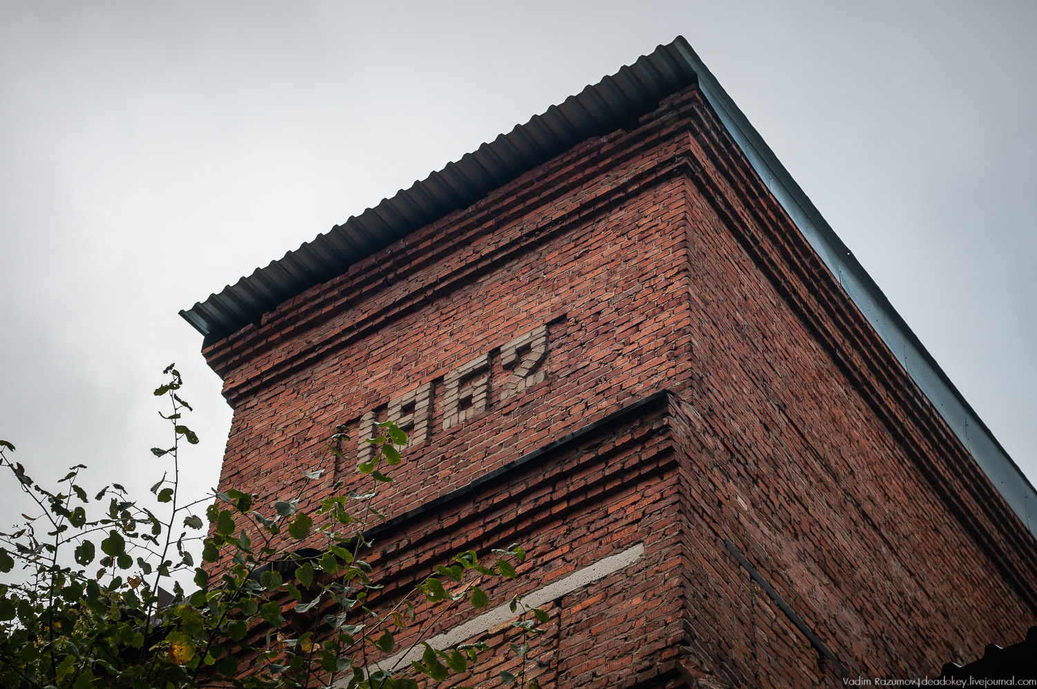 Фарфоровый завод, Вербилки