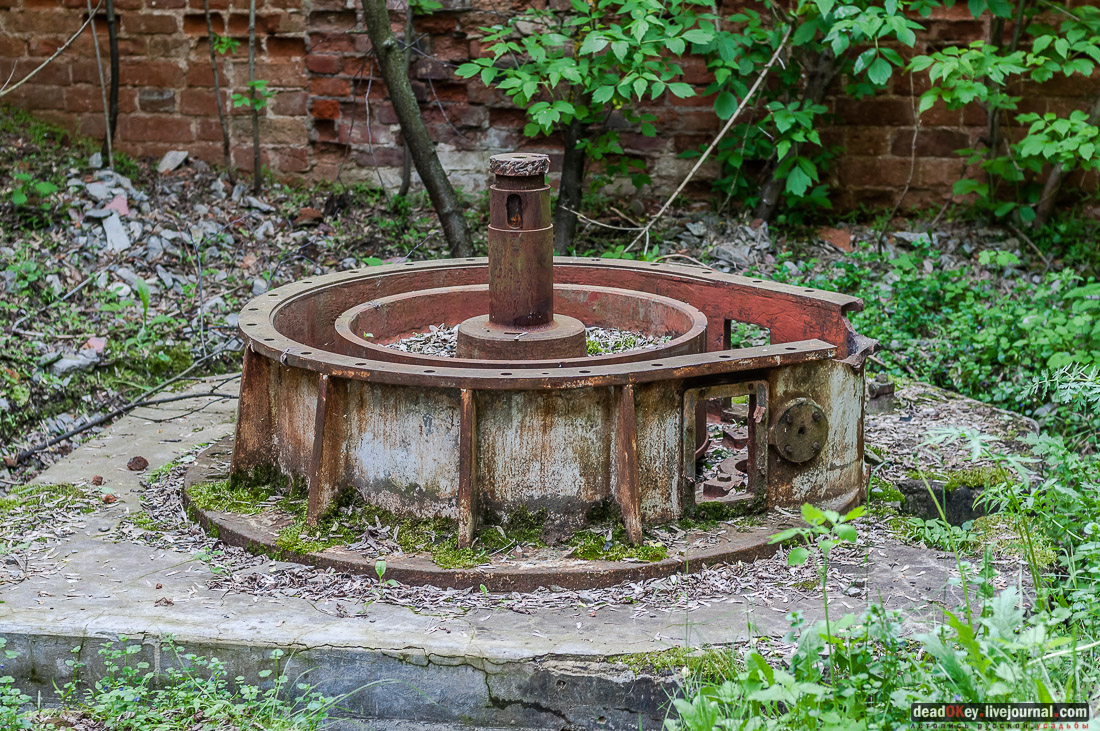 усадьба Коленцы