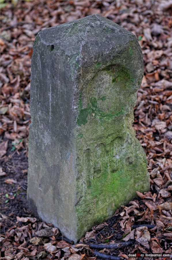 усадьба Царицыно