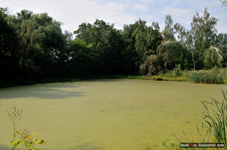 усадьба Пронино