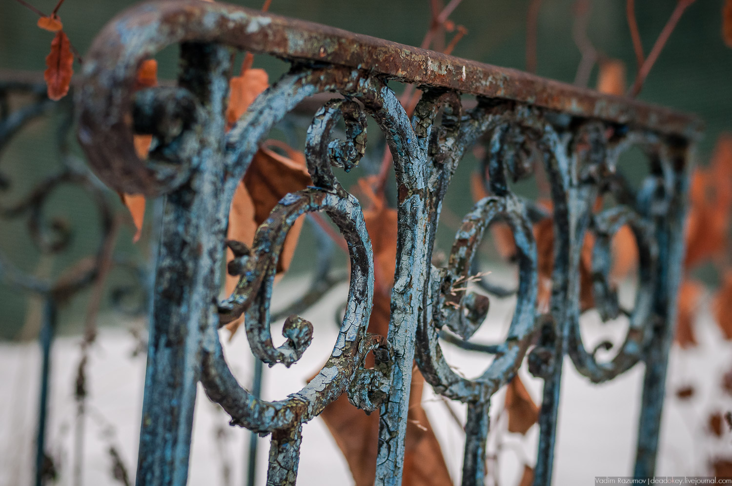 усадьба Салазкино, Видное, Московская область