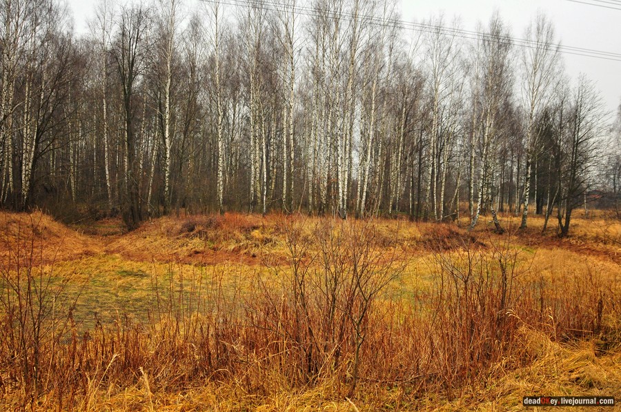 усадьба Савинское