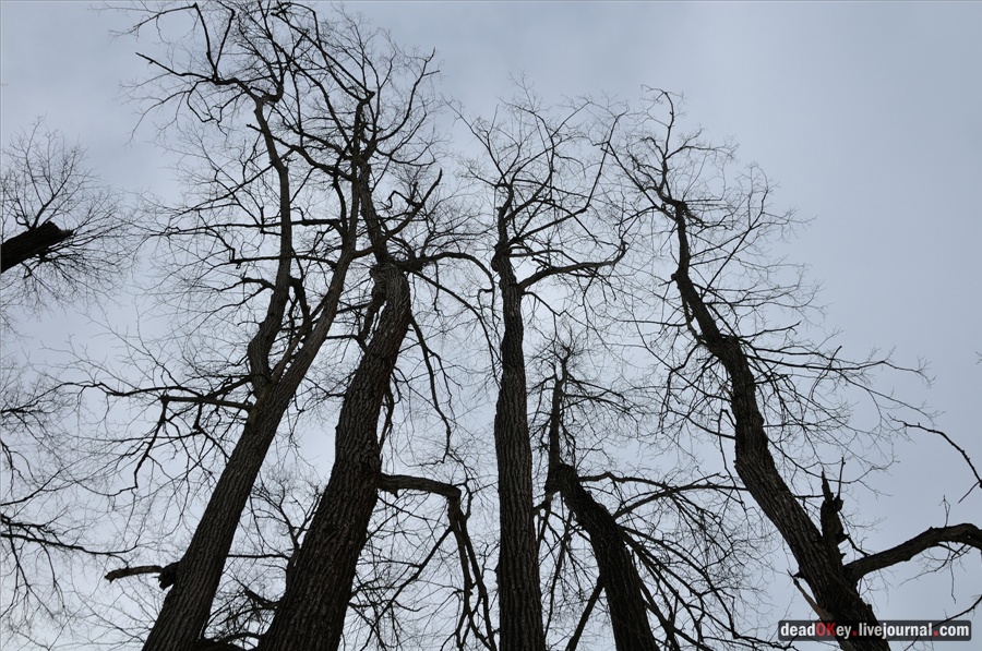 усадьба Ельдигино