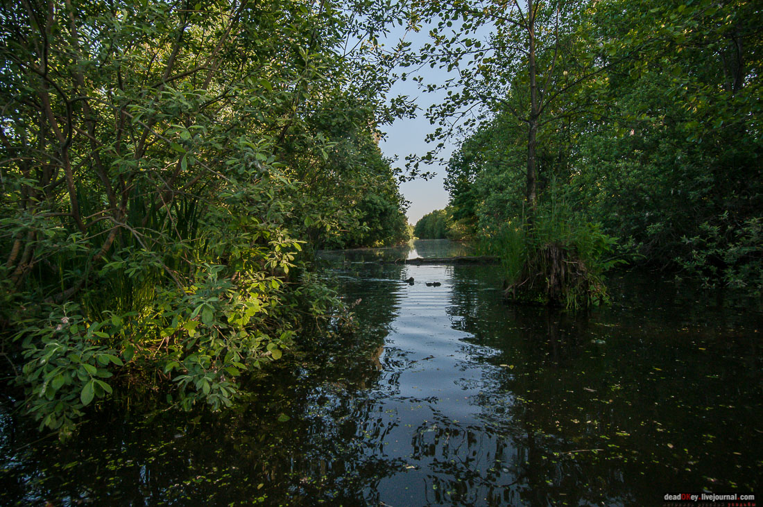 Пейзажный парк в усадьбе Гребнево