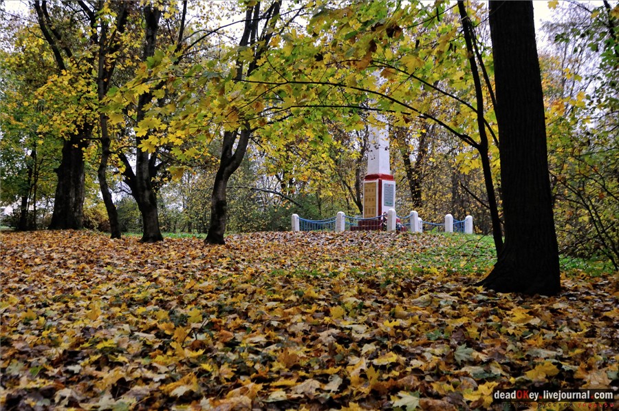 усадьба Сима