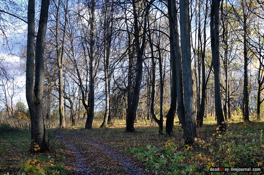 усадьба Дубровка (Мансурово)