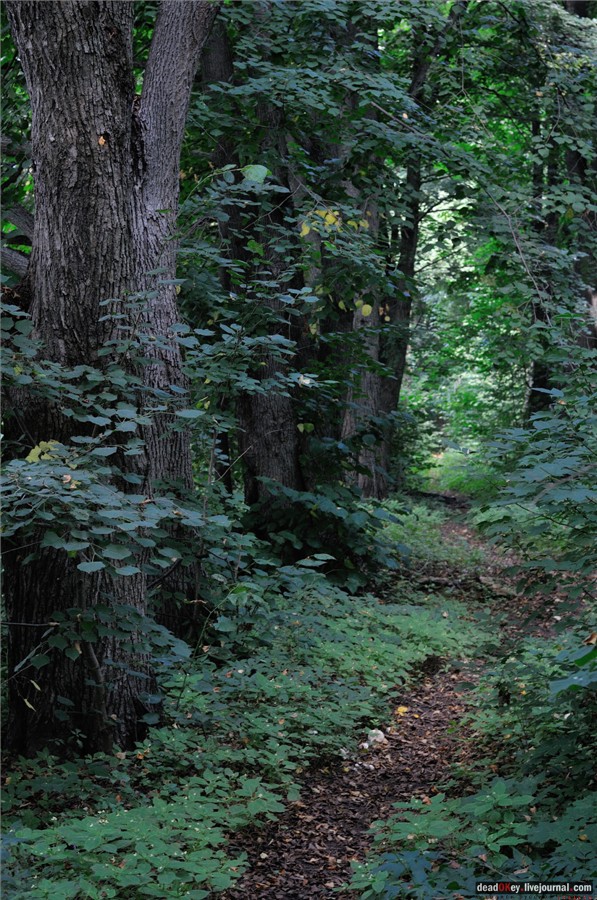 усадьба Глинки Якова Брюса (пансионат Монино)