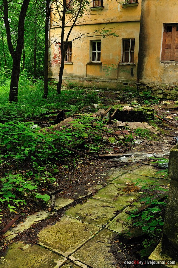 усадьба Гребнево