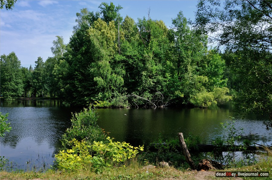 усадьба Алмазово