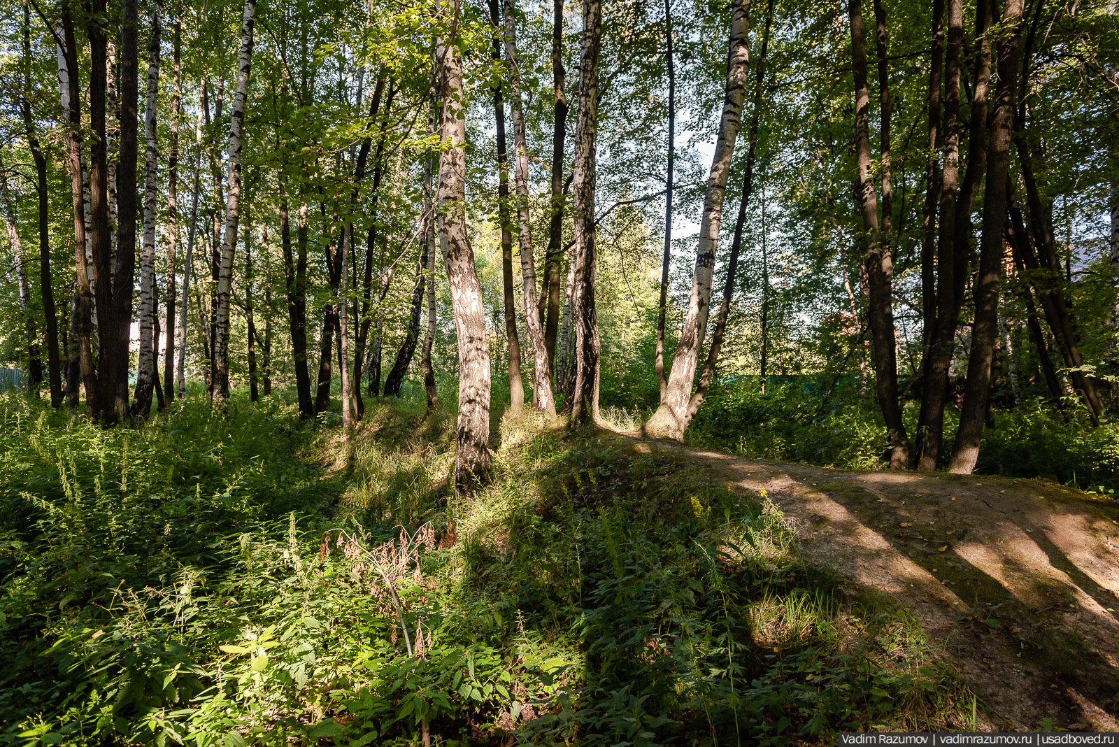 Усадьба Заболотье, парк, курганы, Долгопрудный, Москва