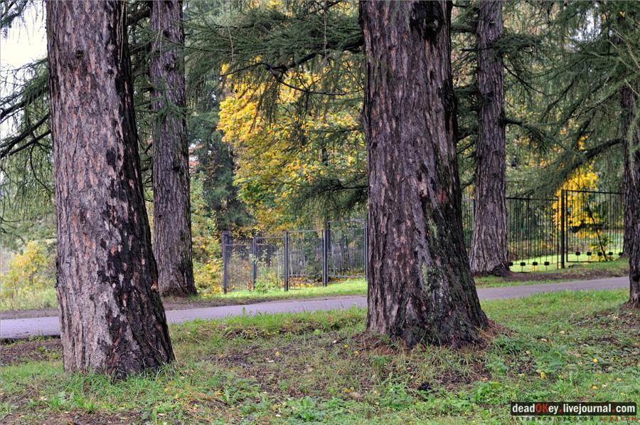 усадьба Марфино