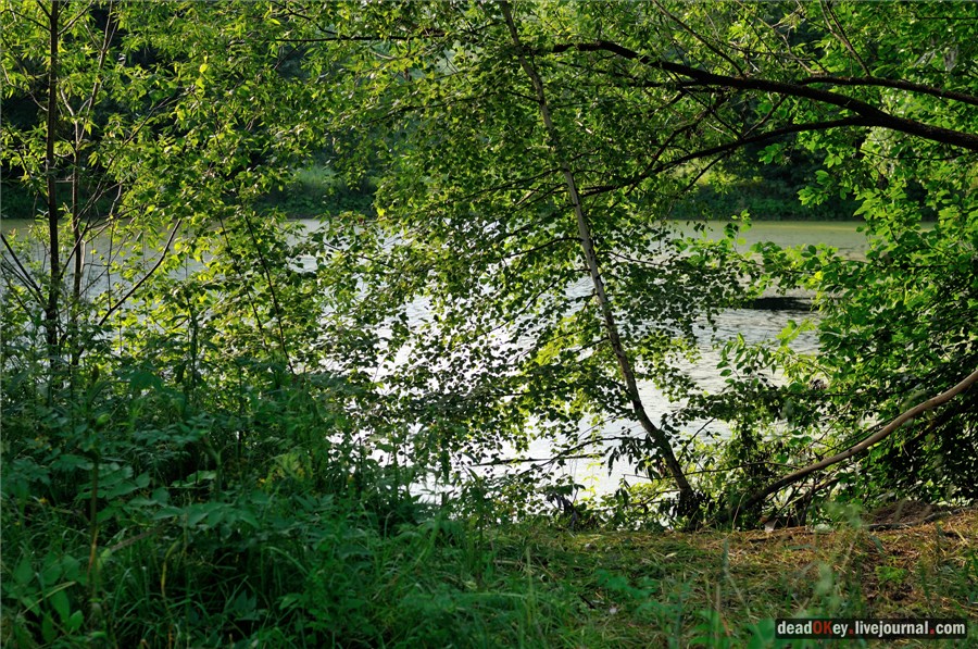 усадьба Долгое Ледово