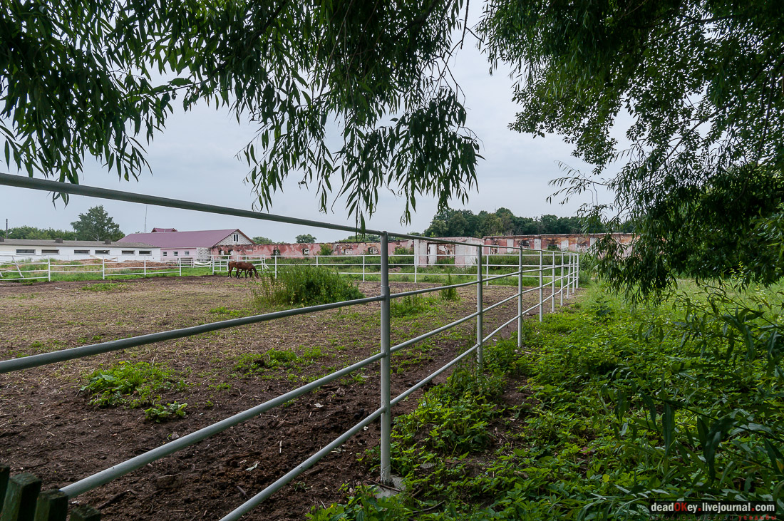 усадьба Дивово