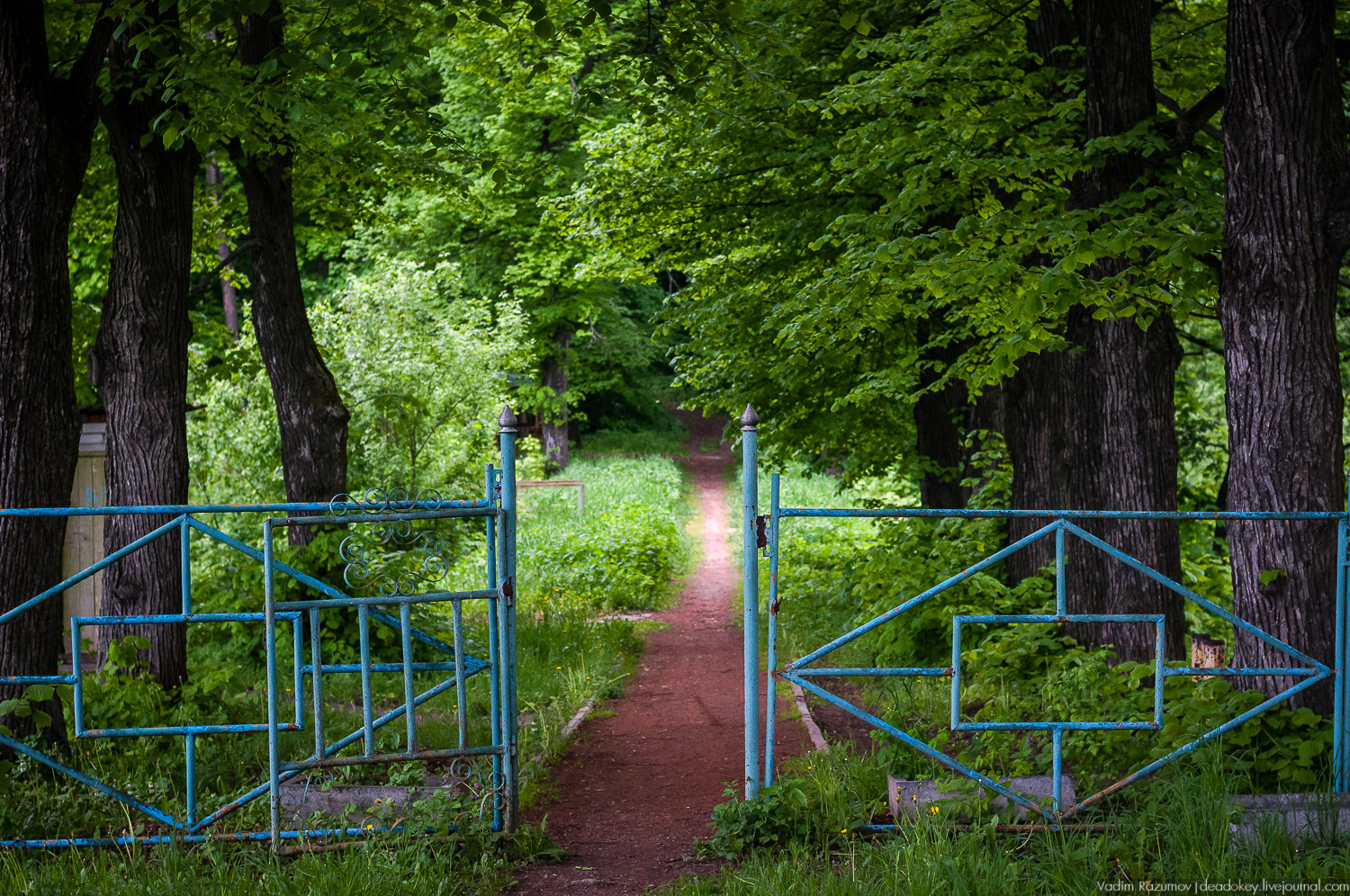 усадьба Старожилово, конезавод