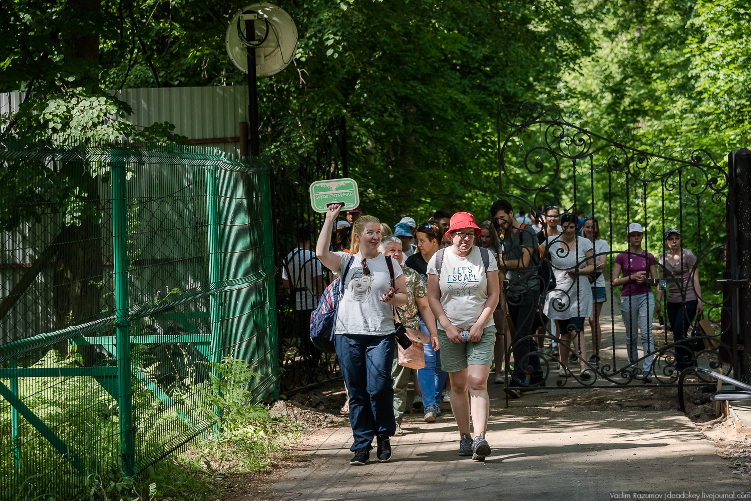 Экоэлектричка. Волонтерский поезд к зубрам в Приокский террасный заповедник