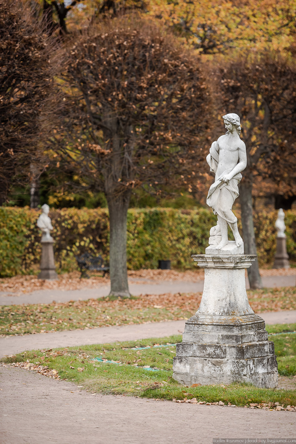 усадьба Кусково, осень 2018 года