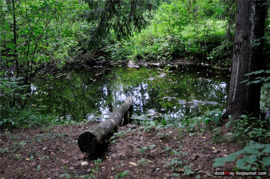 усадьба Алмазово