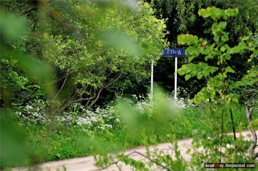 усадьба Фуникова Гора Прокудина-Горского