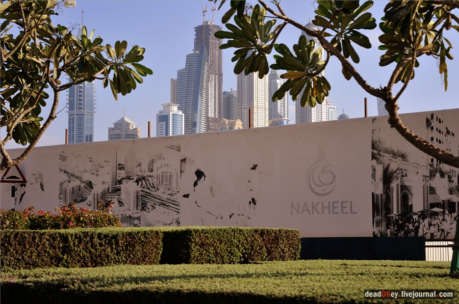ОАЭ. Дубаи.
