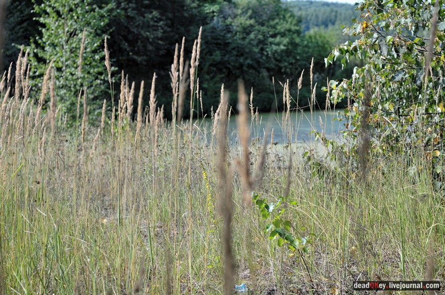 усадьба Хомяково