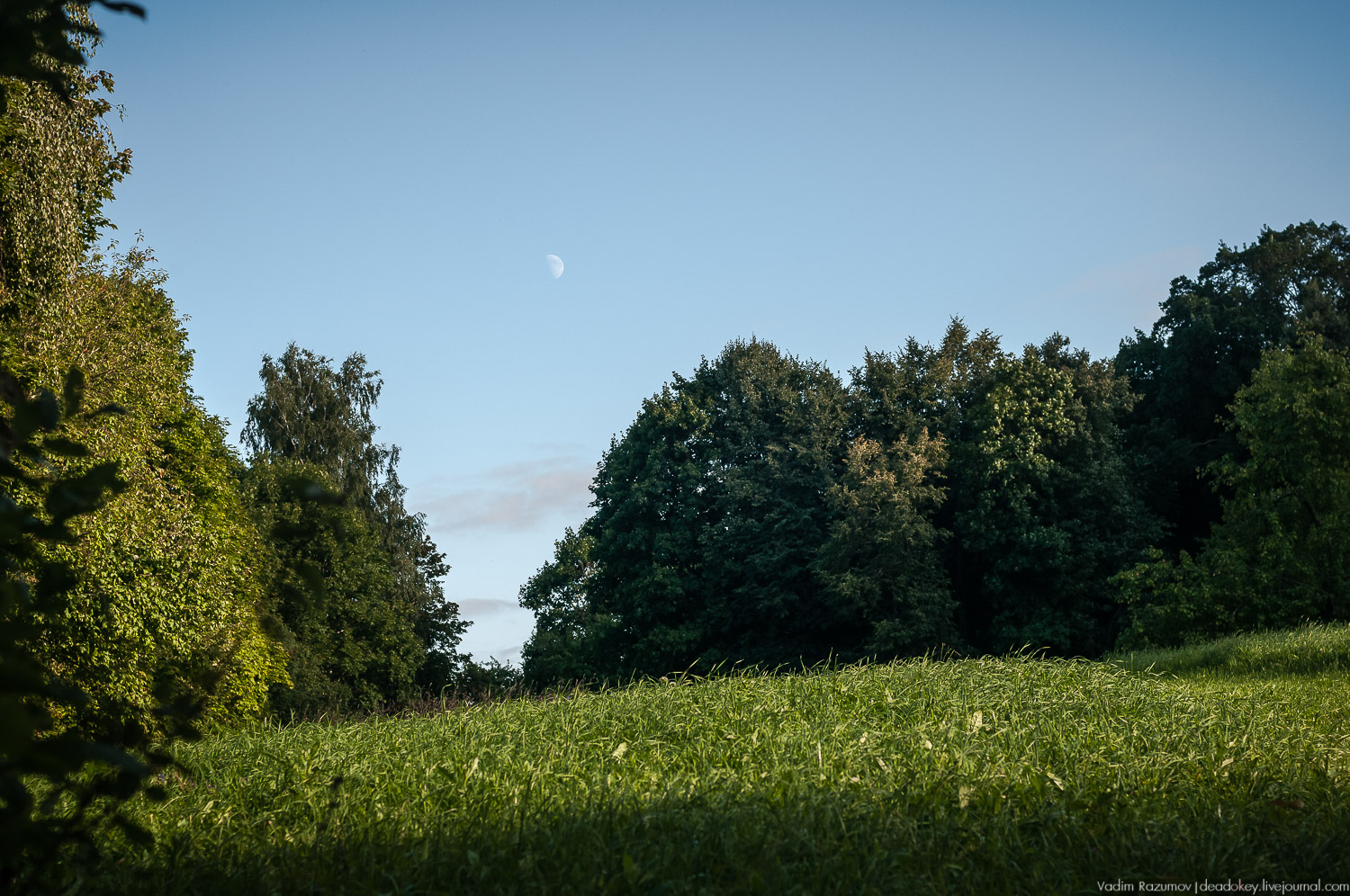 усадьба Даровое, Зарайский район, Ф.М. Достоевский