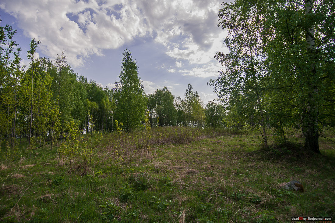 заброшенная деревня Сяпчозеро, Карелия, Кондопожский район