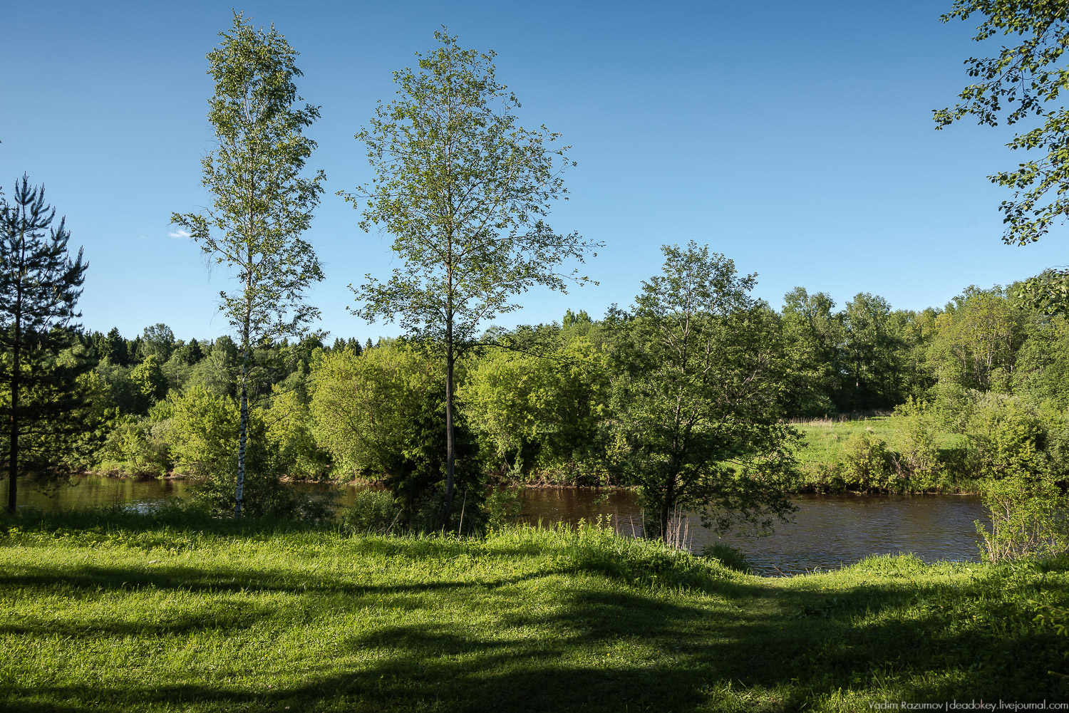 Экоэлектричка. Совиный фестиваль