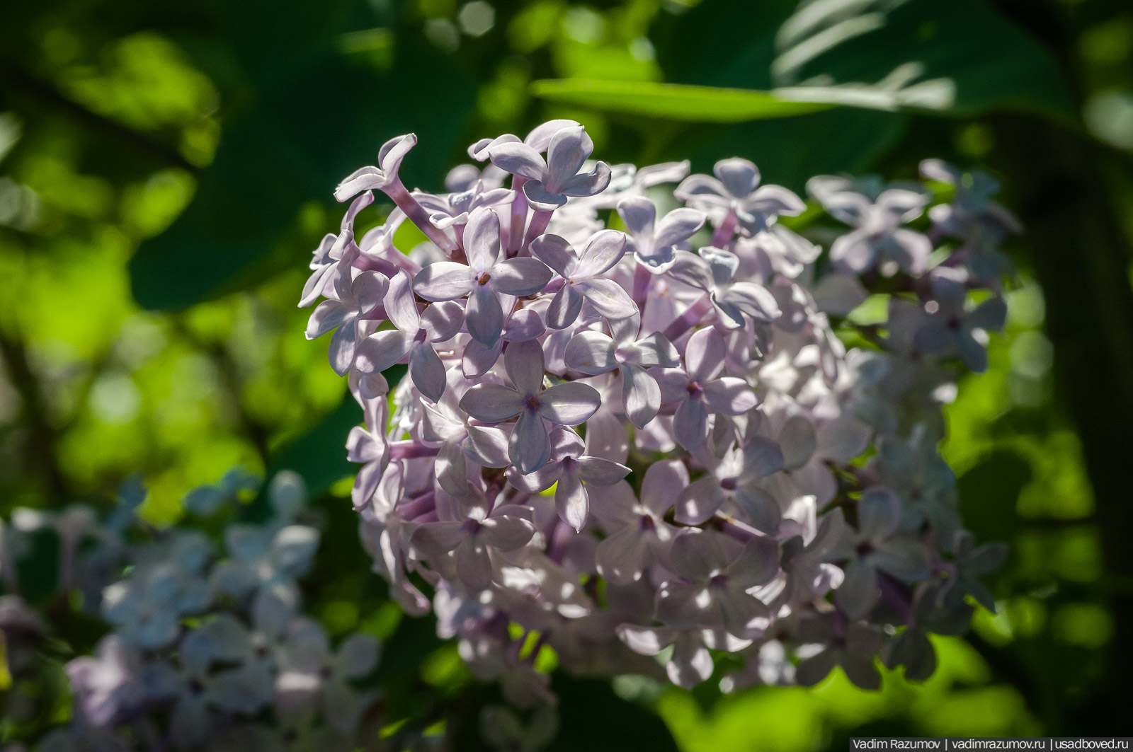 усадьба Дворяниново, Андрей Тимофеевич Болотов, Тульская область